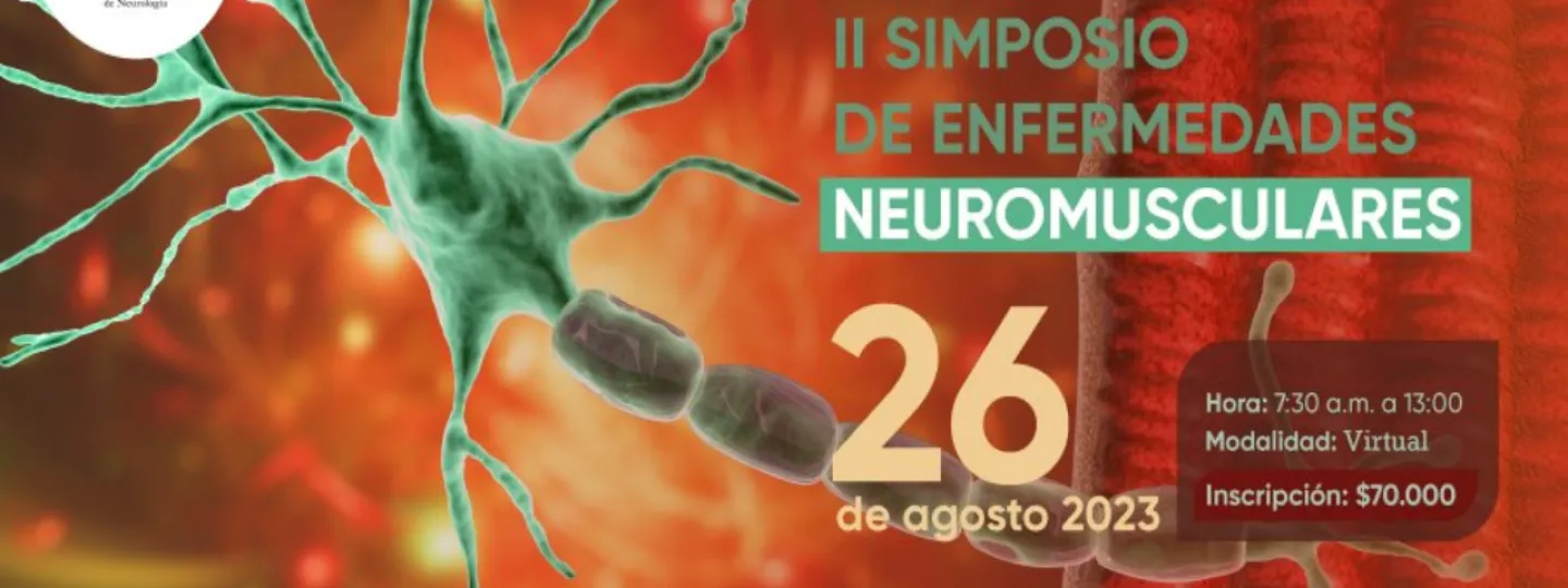 imagen1