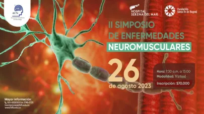 imagen1