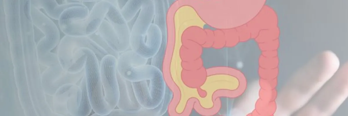 Falla Intestinal Manejo Multimodal