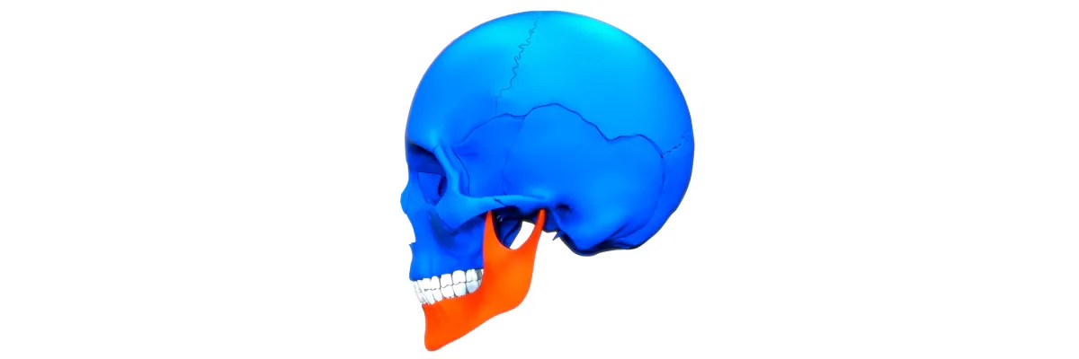 Mandibular