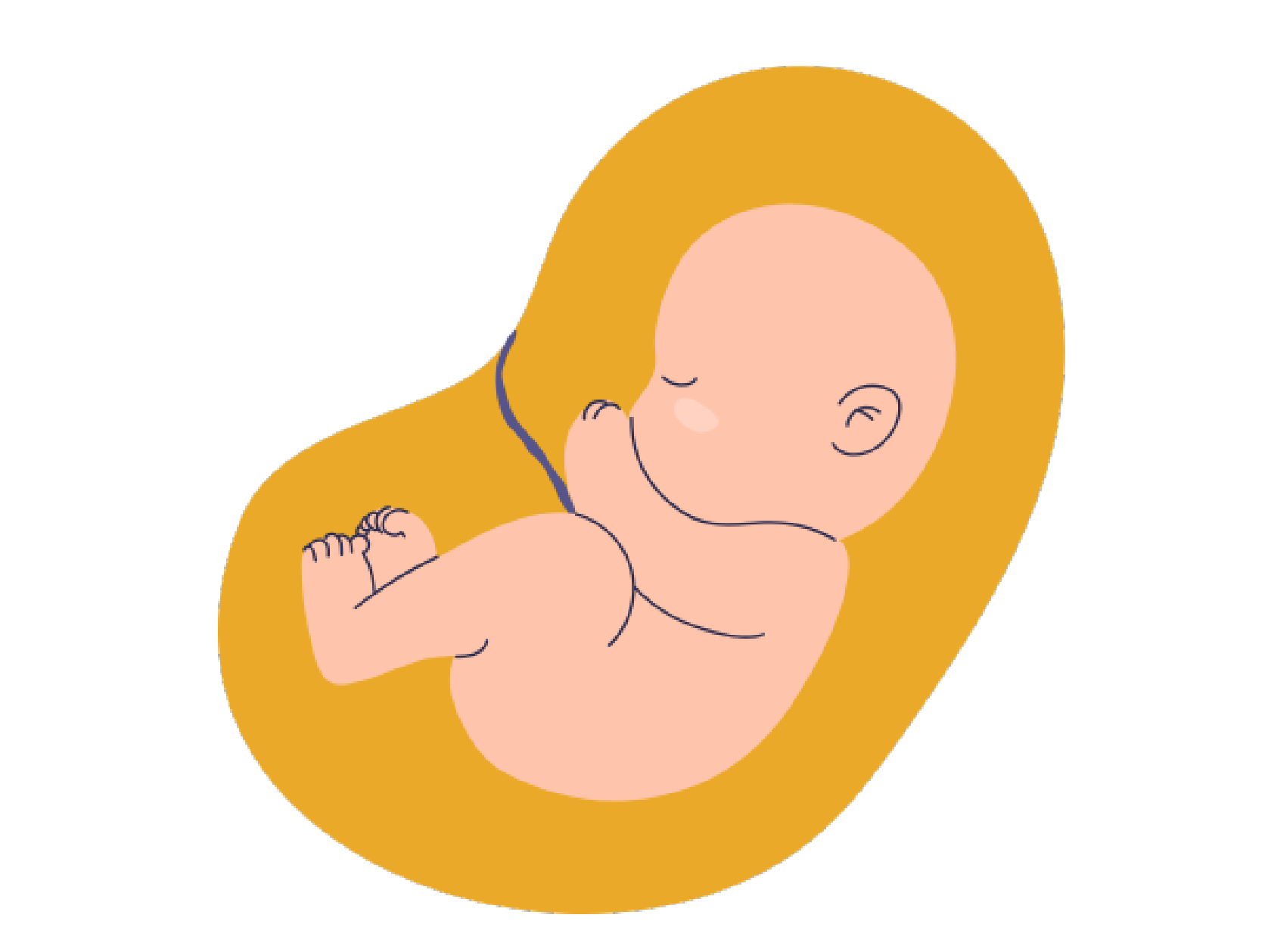 Ilustración del banner