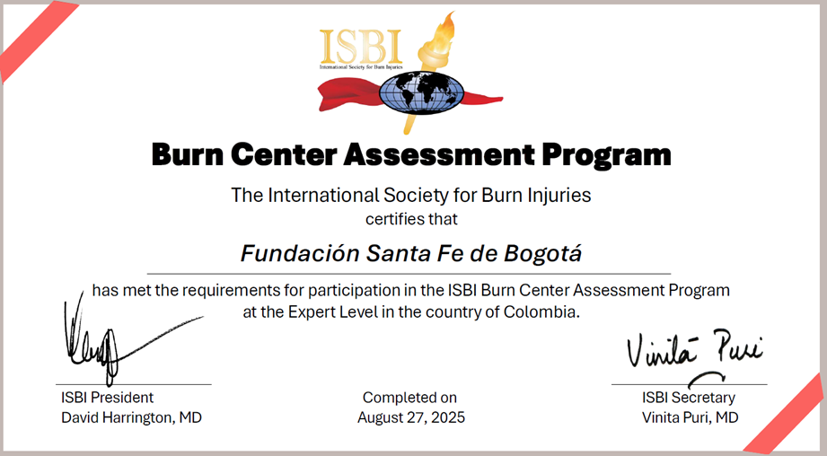 isbi logo