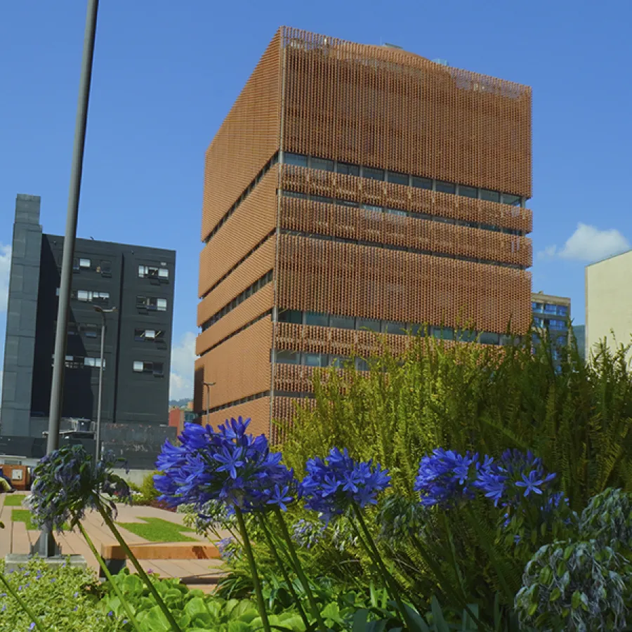 Edificio Ambulatorio