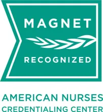 Magnet