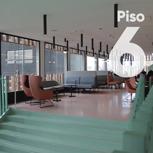 Piso 6