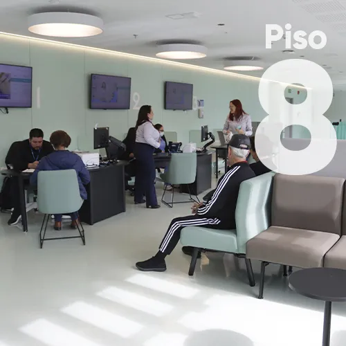 Piso 8